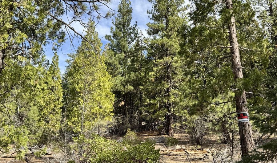 Whale Lane, Bonanza, OR 97623 - 0 Beds, 0 Bath