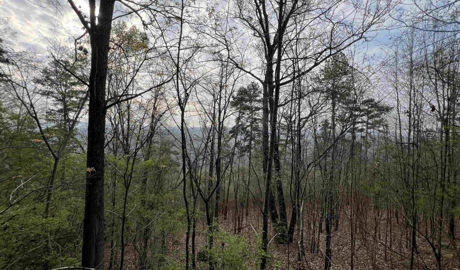 5810 431 S, Attalla, AL 35954 - 0 Beds, 0 Bath