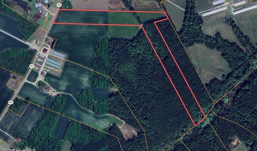 00 Nc N 903, Albertson, NC 28508 - 0 Beds, 0 Bath