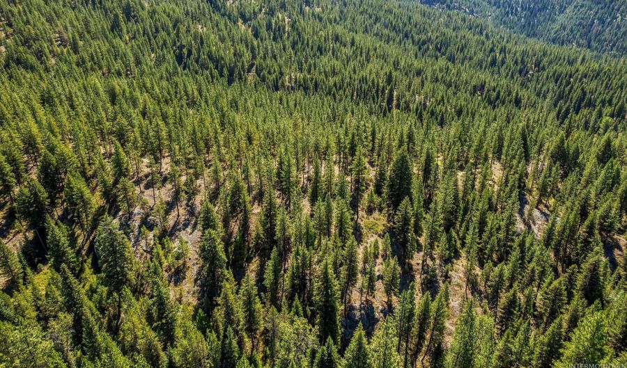 150 Pointes Rd, Cascade, ID 83611 - 0 Beds, 0 Bath