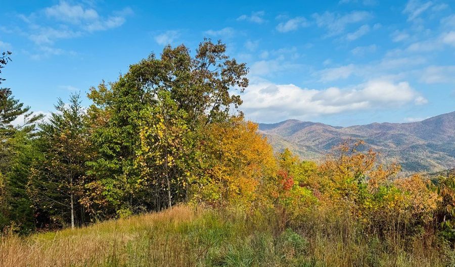 Lot 7 Serenity Ridge Trail, Andrews, NC 28901 - 0 Beds, 0 Bath