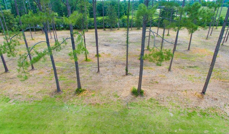 00 Lot 16 Magnolia Dr, Cairo, GA 39828 - 0 Beds, 0 Bath