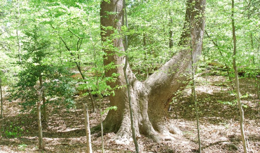 Parcel 45 BRYAN POINT Road, Accokeek, MD 20607 - 0 Beds, 0 Bath