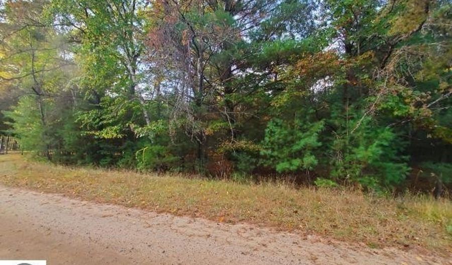 0 Buffalo Trl, Alger, MI 48610 - 0 Beds, 0 Bath