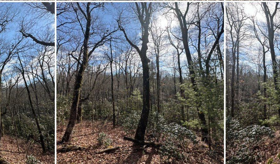 Tbd View Point Road, Highlands, NC 28741 - 0 Beds, 0 Bath