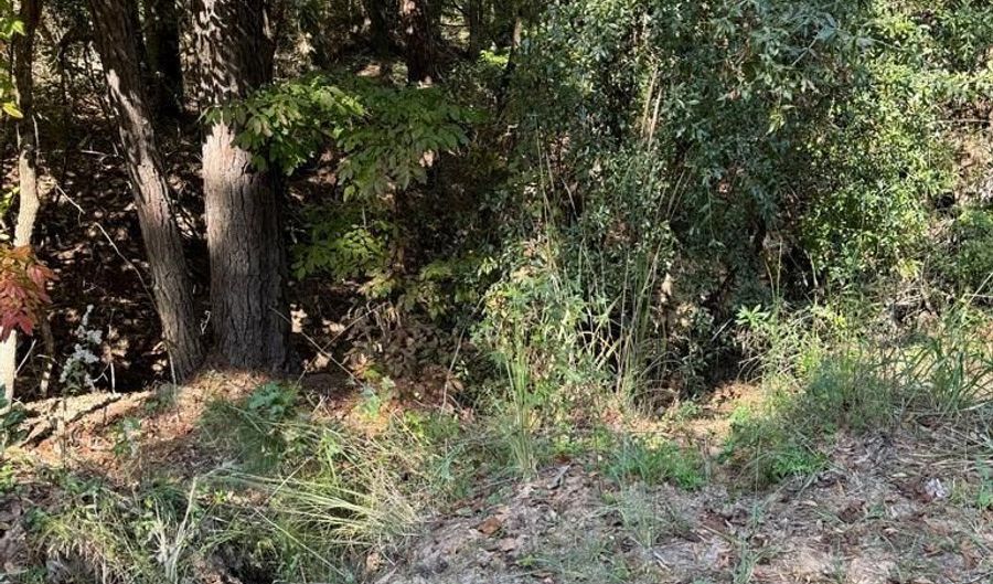 Lot 5 South Galaxie, Abbeville, AL 36310 - 0 Beds, 0 Bath