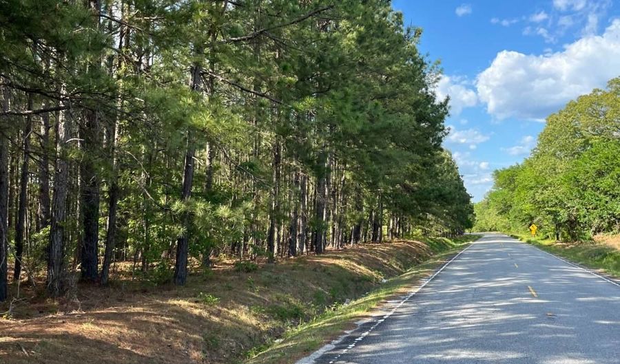 272 Church Camp Rd, Bishopville, SC 29010 - 3 Beds, 2 Bath