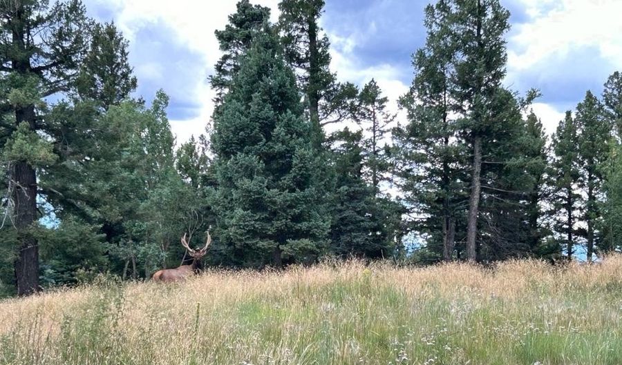 168 Mertz Pl Lot 65, Angel Fire, NM 87710 - 0 Beds, 0 Bath