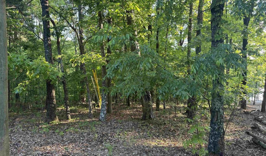 0 DAVIS ACRES Dr 72 & 73, Alpine, AL 35014 - 0 Beds, 0 Bath