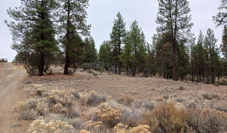Moccasin Lane Lot 12 Block 50, Chiloquin, OR 97624 - 0 Beds, 0 Bath