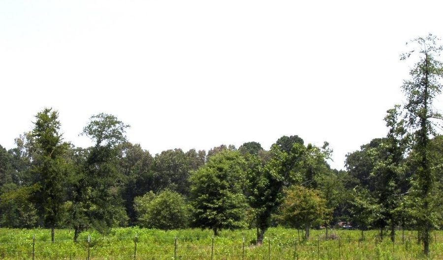 138 Little River 183, Ashdown, AR 71822 - 0 Beds, 0 Bath