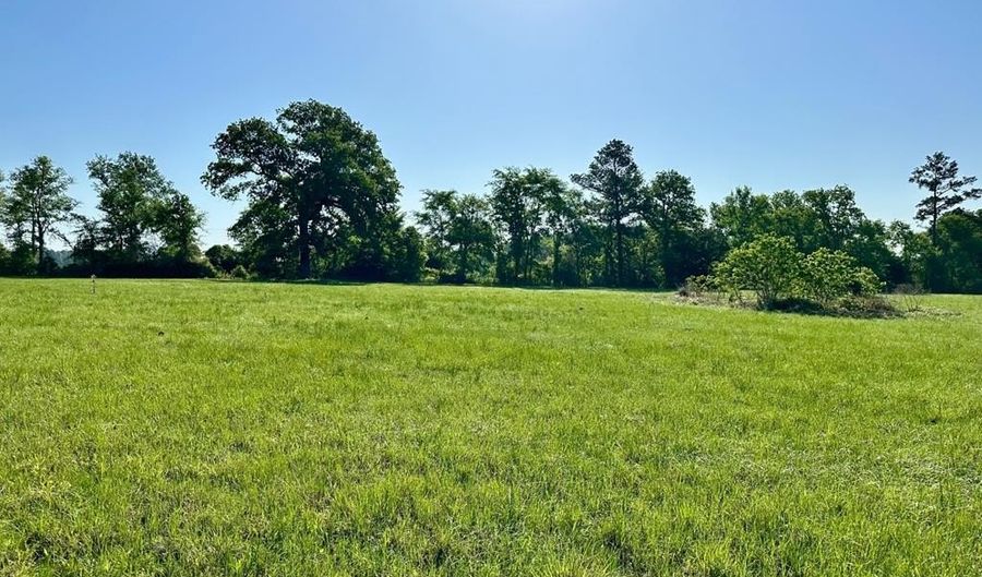 Tract 1 Sullivan Drive, Apple Springs, TX 75926 - 0 Beds, 0 Bath