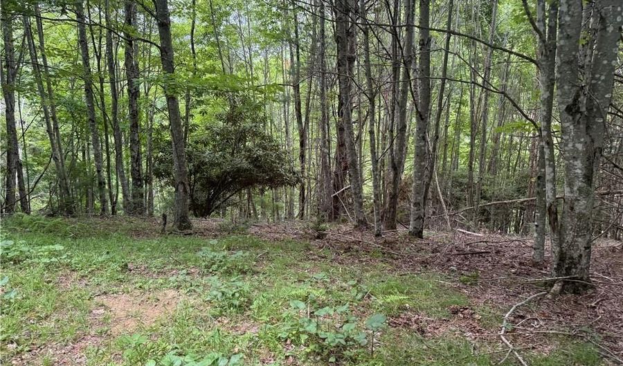 1143 Rominger Rd, Banner Elk, NC 28604 - 0 Beds, 0 Bath