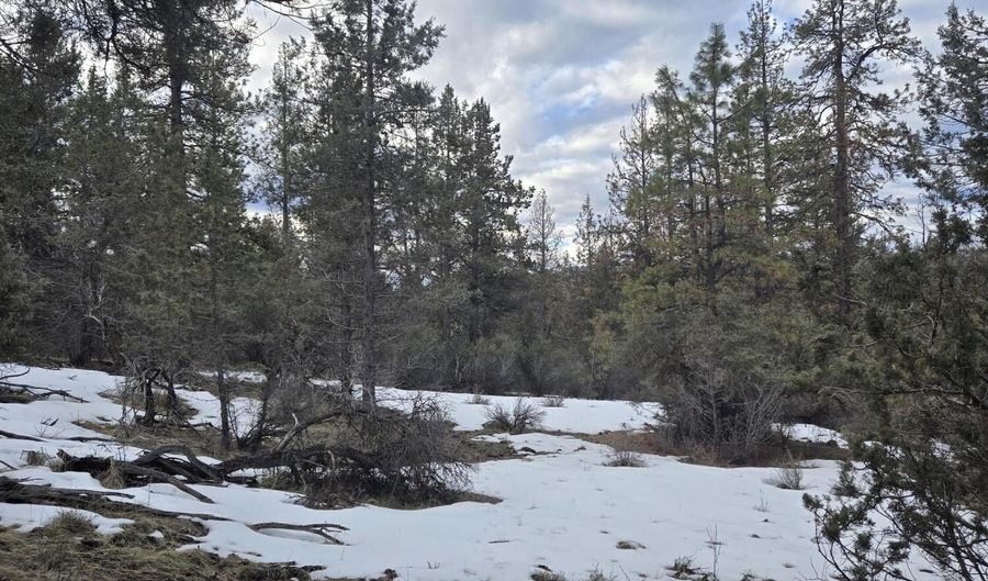 Jaguar Lane lot 7 & 8, Bonanza, OR 97623 - 0 Beds, 0 Bath