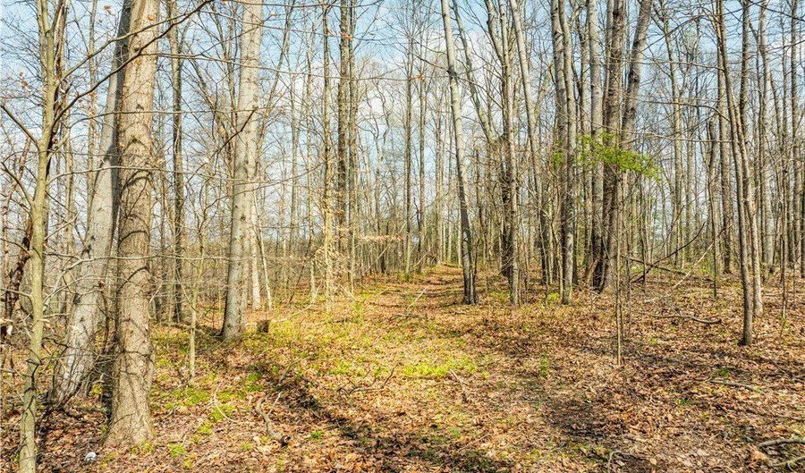 E Captina Highway Road, Alledonia, OH 43902 - 0 Beds, 0 Bath