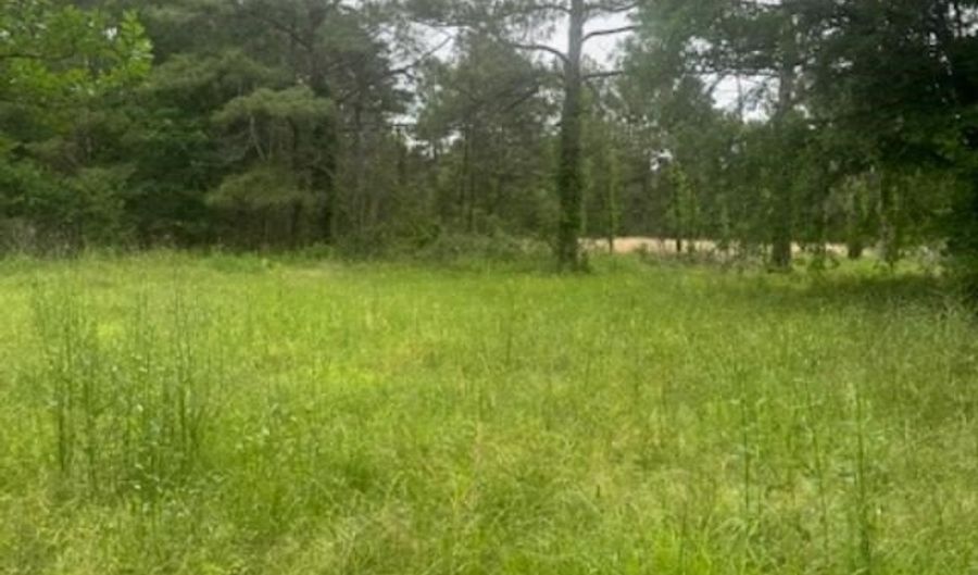 FM 2501, Apple Springs, TX 75965 - 0 Beds, 0 Bath