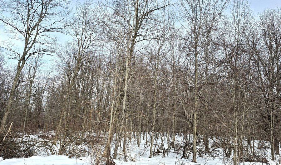 Lot 3 BISCOFF Road, Albion, PA 16401 - 0 Beds, 0 Bath