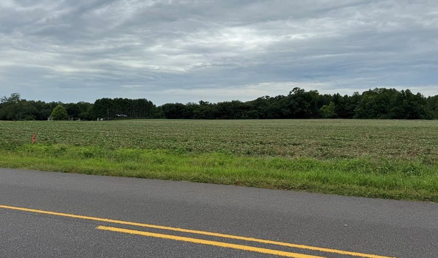 Lot 3 Cowarts Creek Rd, Ashford, AL 36312 - 0 Beds, 0 Bath