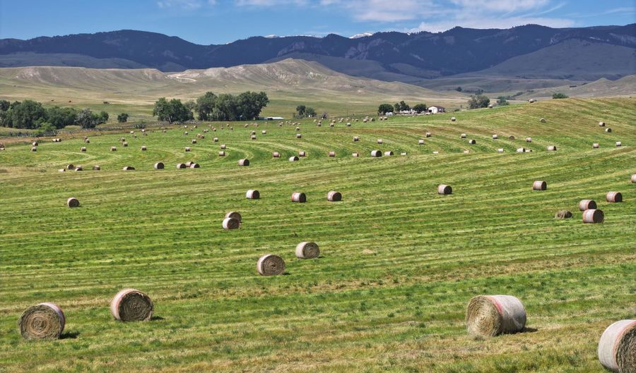 77 Sand Creek Ranch Rd, Buffalo, WY 82834 - 0 Beds, 0 Bath