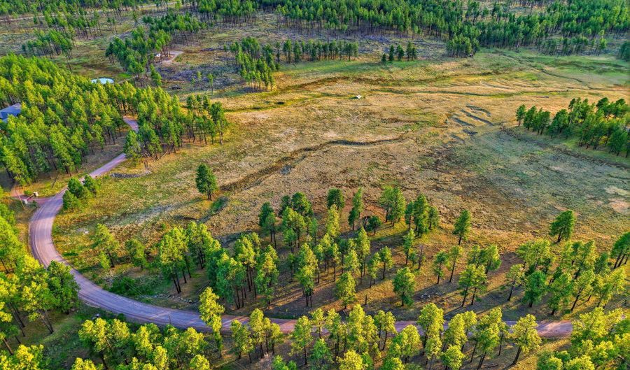 1 A FOREST ROAD 26, Alpine, AZ 85920 - 0 Beds, 0 Bath