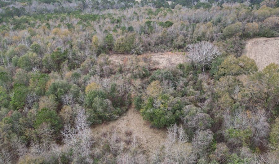 County Road 91, Banks, AL 36005 - 0 Beds, 0 Bath