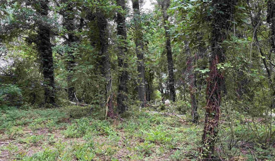 7 TH Ave Lot 1, Ashville, AL 35953 - 0 Beds, 0 Bath