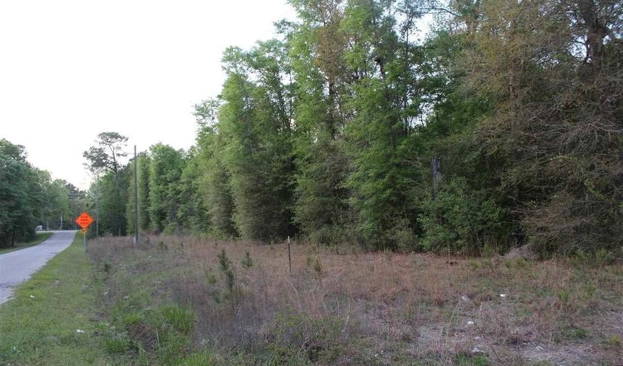 Reds Landing Rd lot 4, Andrews, SC 29510 - 0 Beds, 0 Bath