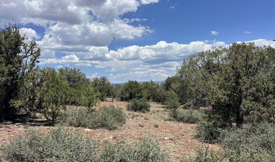 61 Colt Ct Ne4 Rd, Ash Fork, AZ 86320 - 0 Beds, 0 Bath
