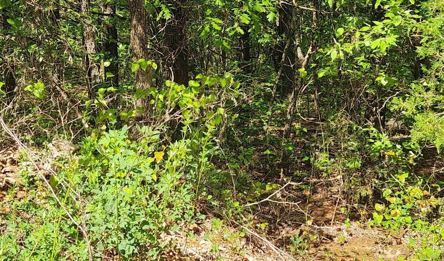 Strawberry Valley Road, Ash Flat, AR 72513 - 0 Beds, 0 Bath