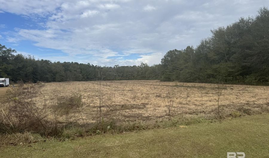 Lot 1 Freemanville Drive, Atmore, AL 36502 - 0 Beds, 0 Bath