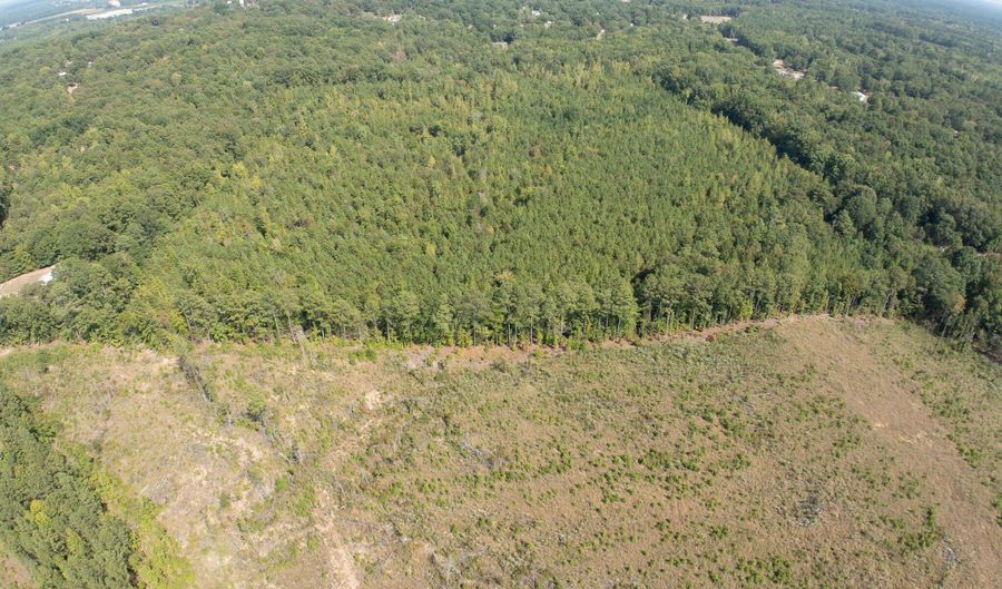 Cr 816, Blue Mountain, MS 38610 - 0 Beds, 0 Bath