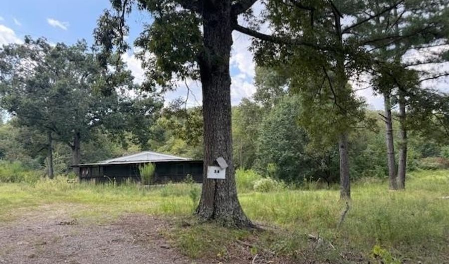 54 Shurley Ln, Austin, AR 72007 - 3 Beds, 2 Bath