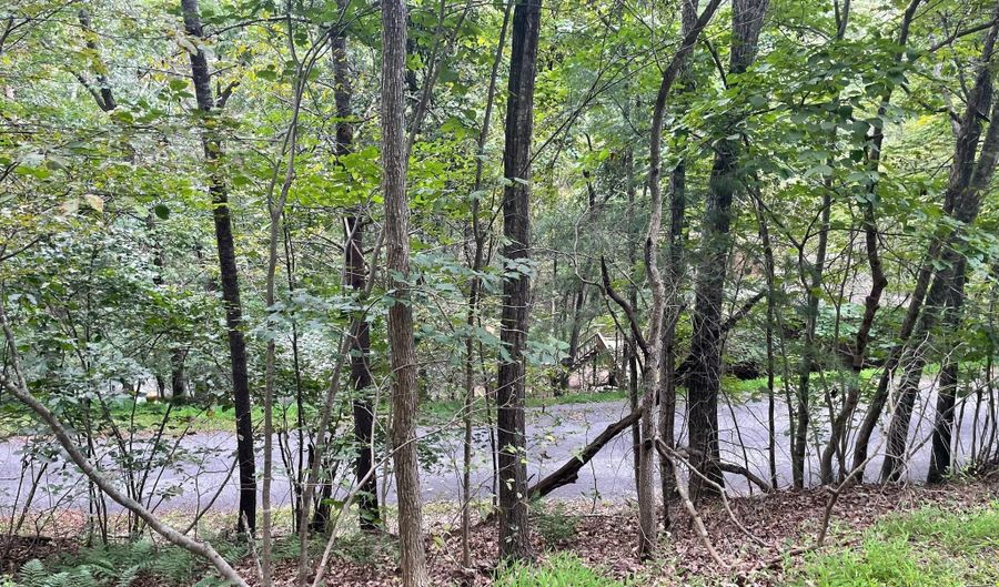 STONEWALL AND LEE DRIVE, Basye, VA 22810 - 0 Beds, 0 Bath