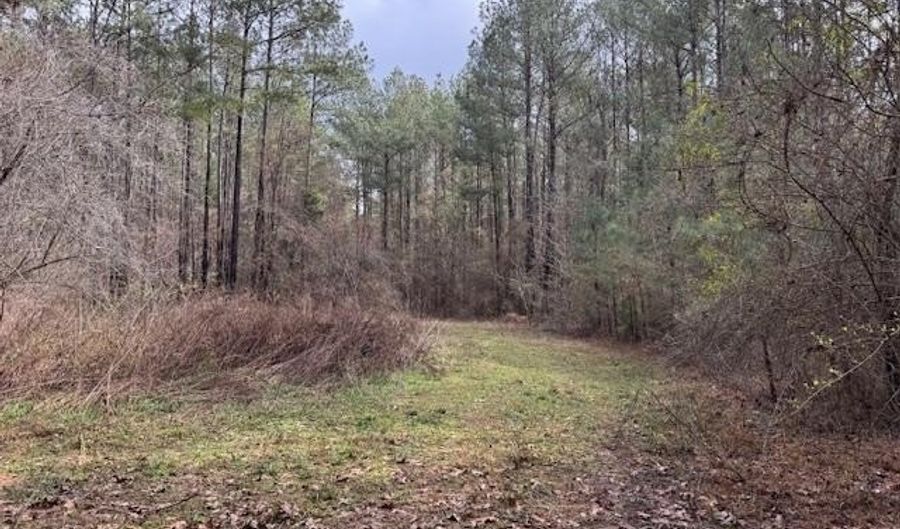 920 A Auburn Dr, Bogue Chitto, MS 39629 - 0 Beds, 0 Bath