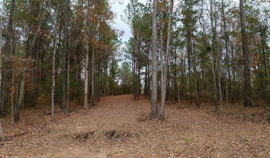 00002 Trickhambridge Rd, Brandon, MS 39042 - 0 Beds, 0 Bath