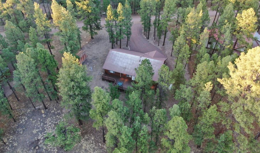 6 County Road 2271, Alpine, AZ 85920 - 3 Beds, 2 Bath