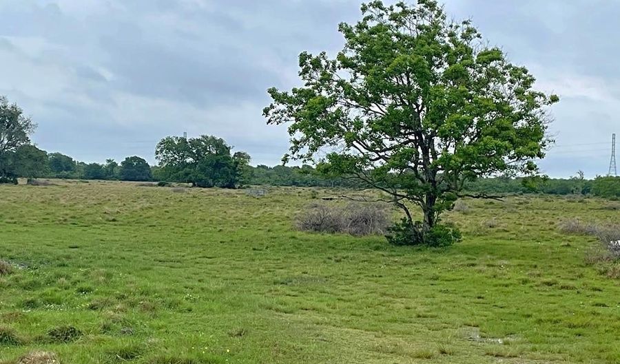FM 2917, Alvin, TX 77511 - 0 Beds, 0 Bath