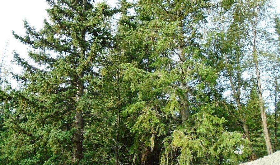 Lot 2 Greece Drive, Anchorage, AK 99516 - 0 Beds, 0 Bath