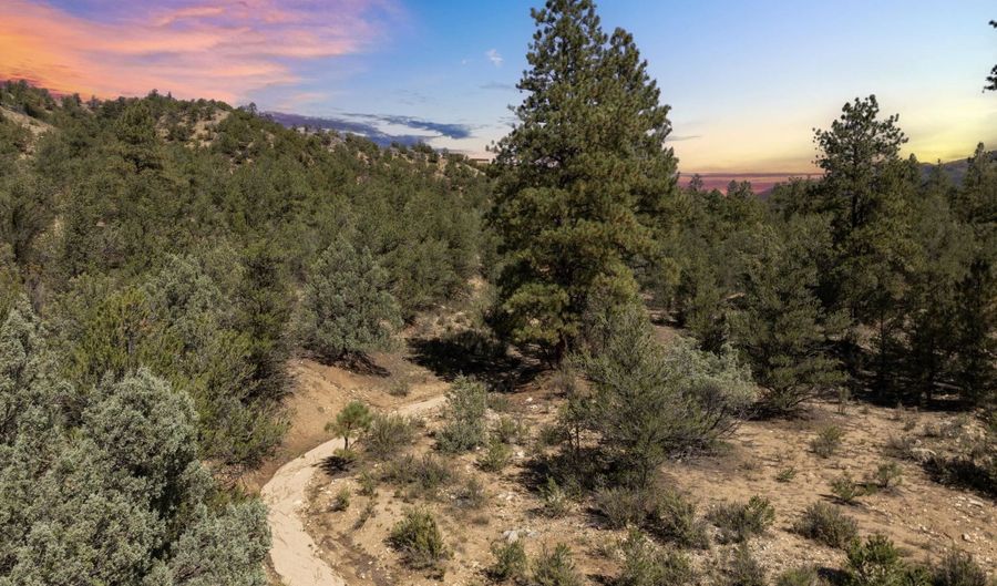 Canoncito Lane Turley Mill Lot 7, Arroyo Hondo, NM 87513 - 0 Beds, 0 Bath
