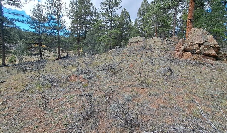 1077 Roland Dr, Bailey, CO 80421 - 0 Beds, 0 Bath