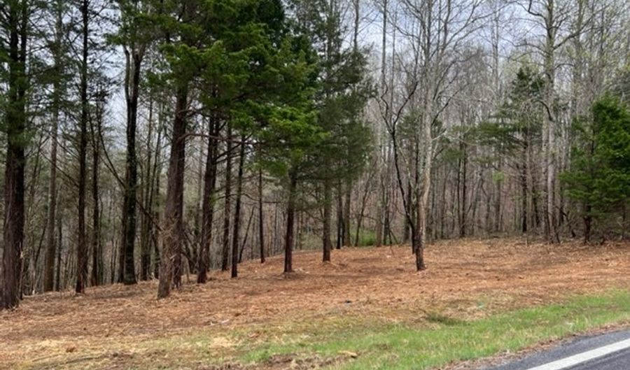 Lot 1 Willow Grove Hwy, Allons, TN 38541 - 0 Beds, 0 Bath
