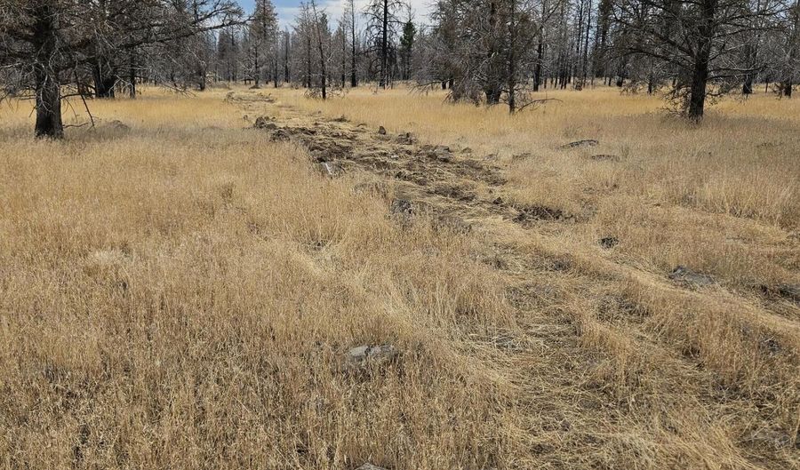 Parazoo Trail Lot 15, Bly, OR 97622 - 0 Beds, 0 Bath