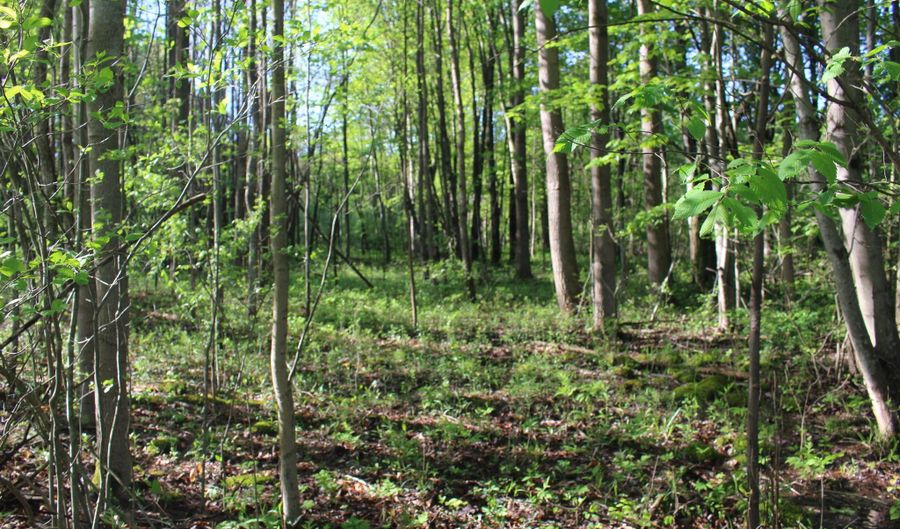 104 Th Ave, Allegan, MI 49010 - 0 Beds, 0 Bath