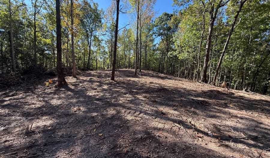 0 Slasham Rd, Ashville, AL 35953 - 0 Beds, 0 Bath