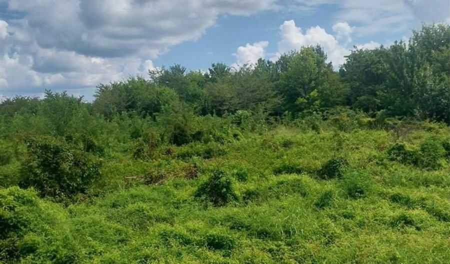 1085 Deen Point Rd, Benton, LA 71006 - 0 Beds, 0 Bath