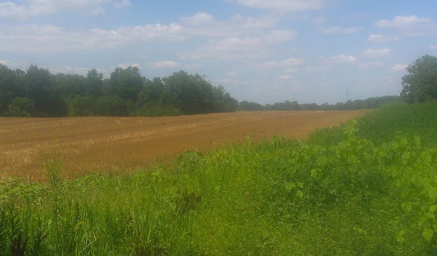 CR 52 Road, Auburn, IN 46706 - 0 Beds, 0 Bath