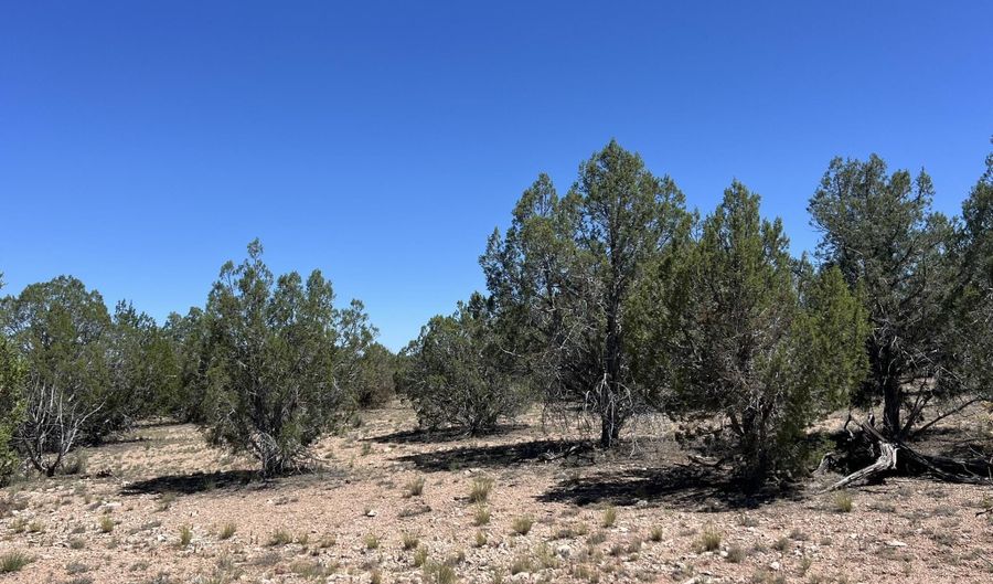 202 Cooks Trl, Ash Fork, AZ 86320 - 0 Beds, 0 Bath