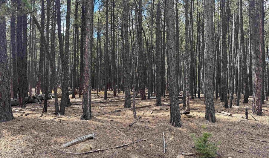 Alamosa Terrace lot 929, Angel Fire, NM 87710 - 0 Beds, 0 Bath