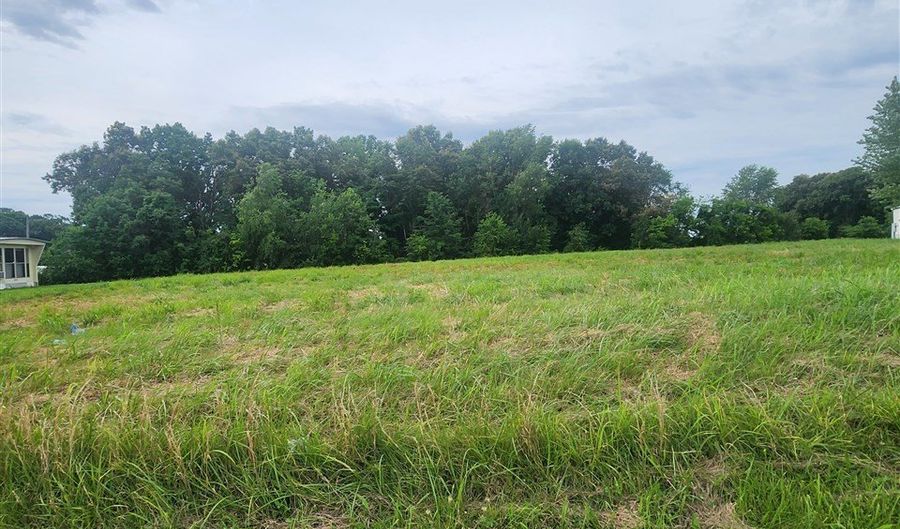 Smiths Grove Church Road, Adairville, KY 42202 - 0 Beds, 0 Bath