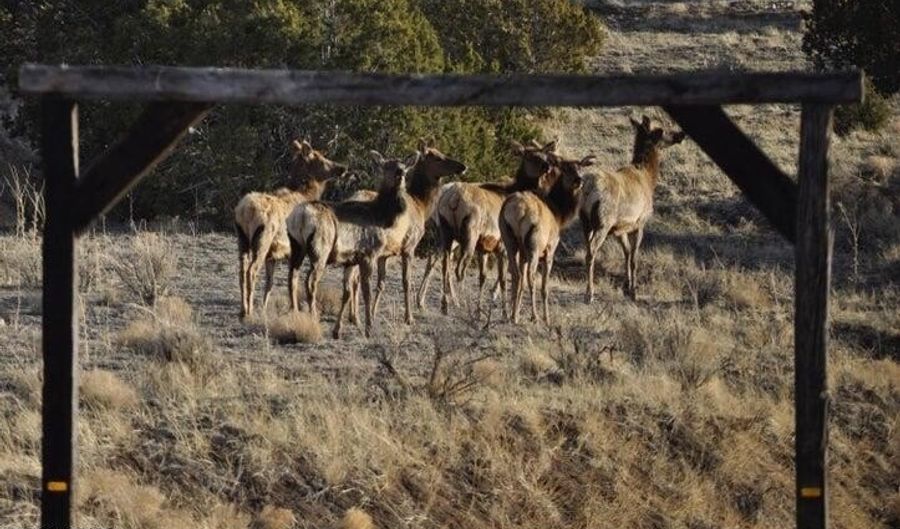 20 County Road 3044, Concho, AZ 85924 - 0 Beds, 0 Bath